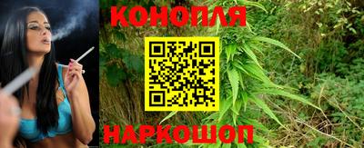 Альфа ПВП Жуковский