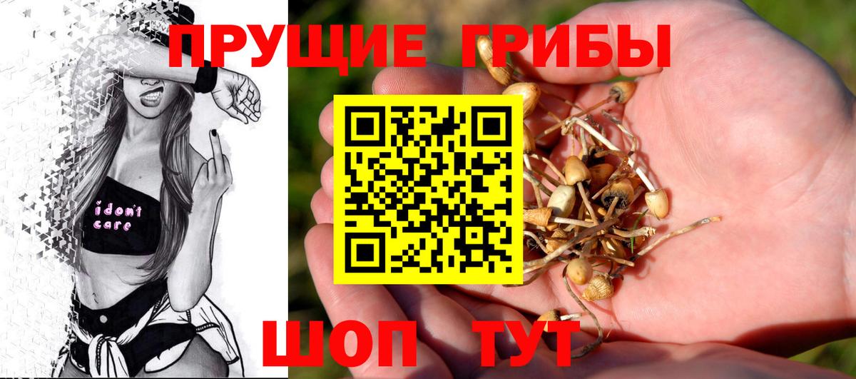 где можно купить   Псилоцибиновые грибы GOLDEN TEACHER  Лесосибирск  Вход с VPN  Псилоцибиновые грибы Magic Shrooms 